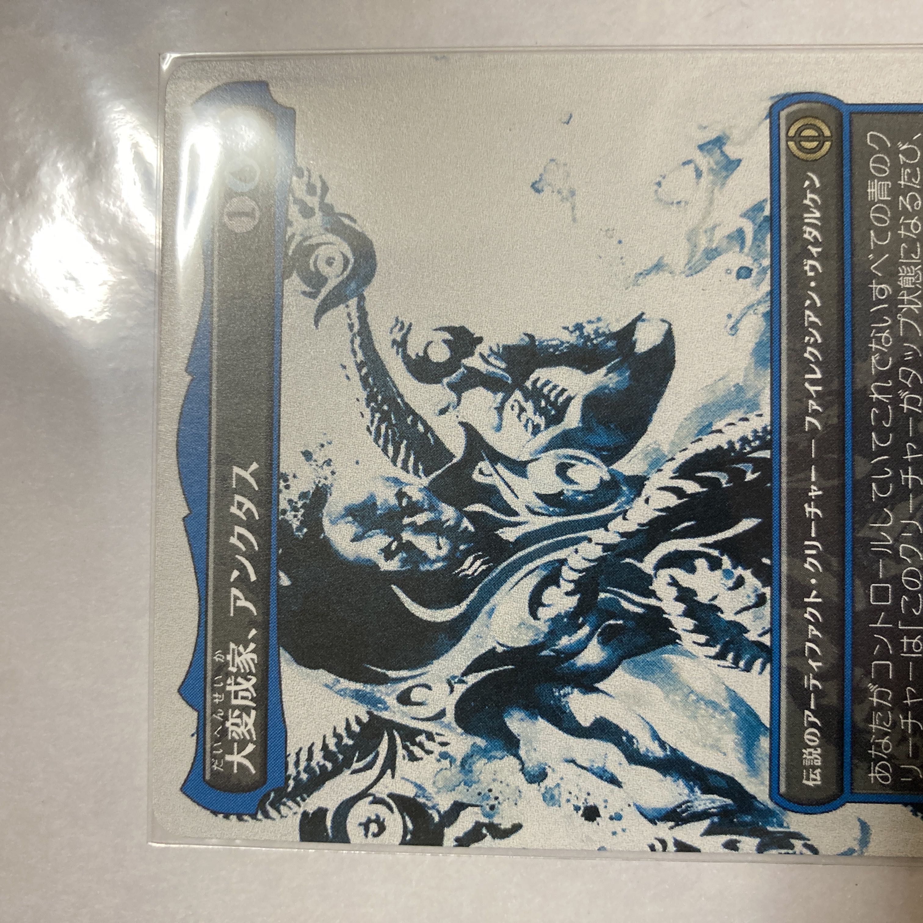 Large Transmutation House, Anctus Borderless