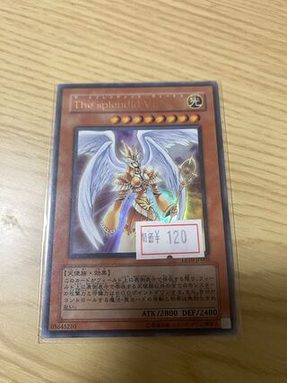 The splendid VENUS」の激安通販 | magi