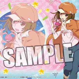 “前髪娘”千石撫子　SP PSA10 前髪娘”千石撫子 SP PSA10 物語