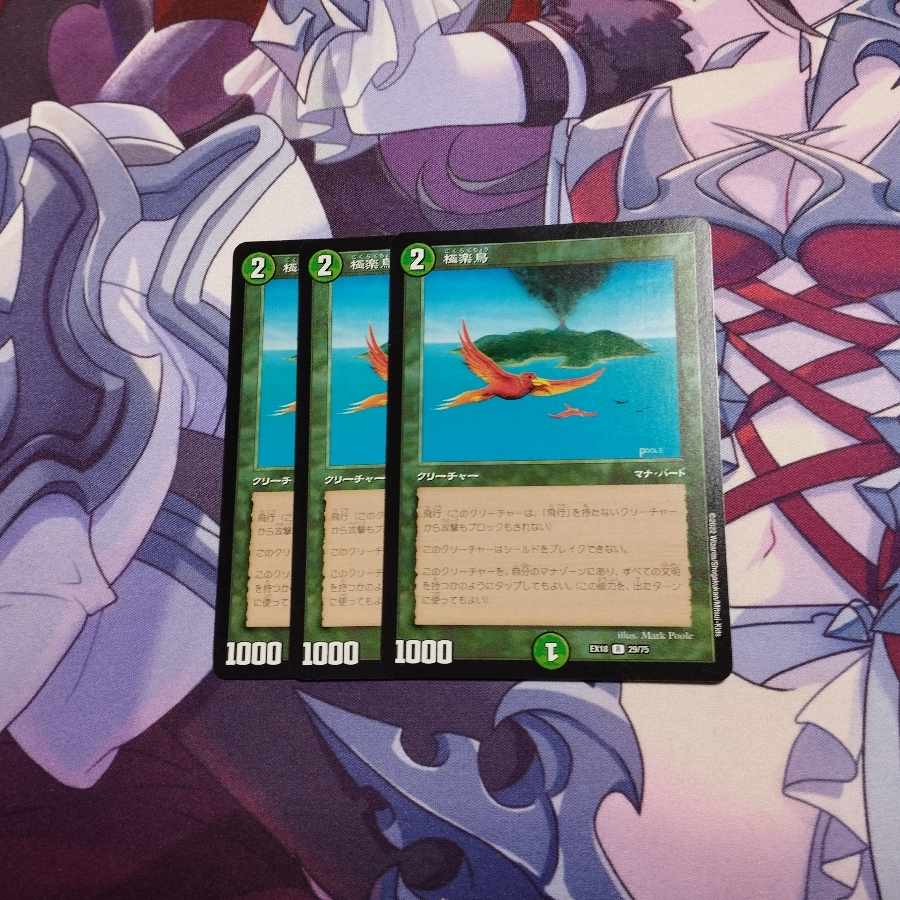 Birds of Paradise R 29/75