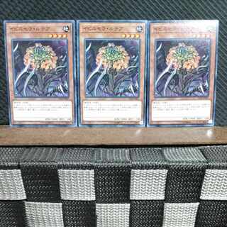 【ぽぽたん】遊戯王 #1901  イビルセラ・ルテア  ノーマル  3枚