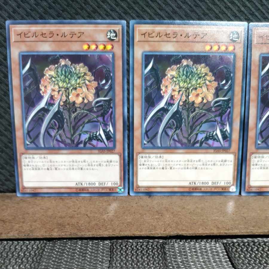 【ぽぽたん】遊戯王 #1901 イビルセラ・ルテア ノーマル 3枚