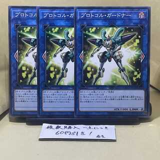 プロトコル・ガードナー ノーマル JP038