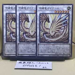 甲纏竜ガイアーム ノーマル JP042