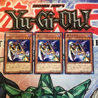 【もふもふ】墓守の巫女