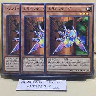 Transcicada Normal JP030