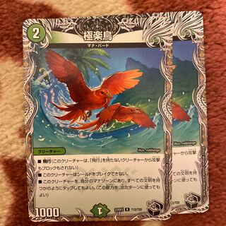 プレゼント付き　極楽鳥(銅トレジャー) R-foil TF12/TF20 1枚