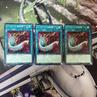 ハーピィの羽根帚