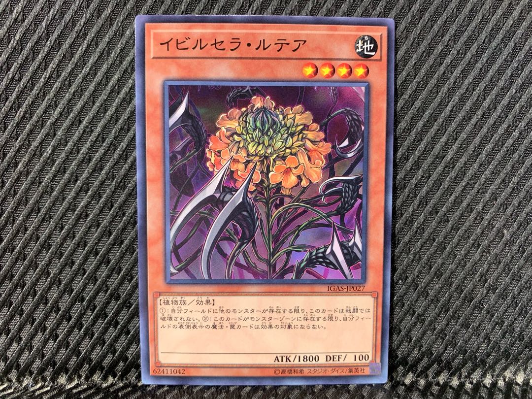 【アゴ之内】遊戯王 イビルセラ・ルテア ノーマル