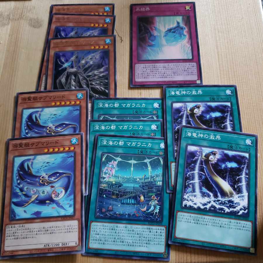 Ice Barrier Dead Leaf Fury of Kairyu-Shin Magallanica