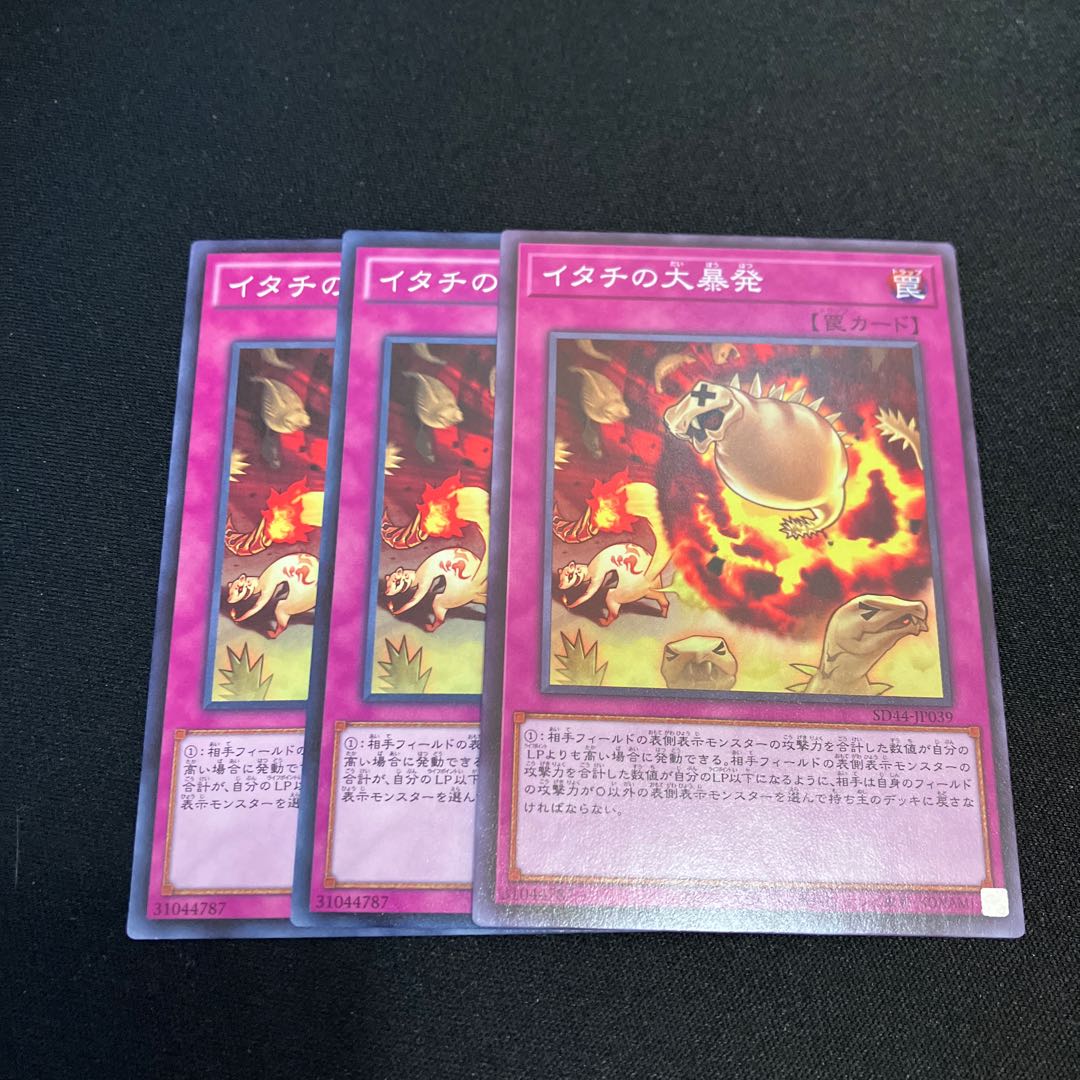3 Ferret Flames Special Price