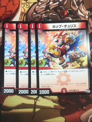 Hop Chu Squirrel C 57/61