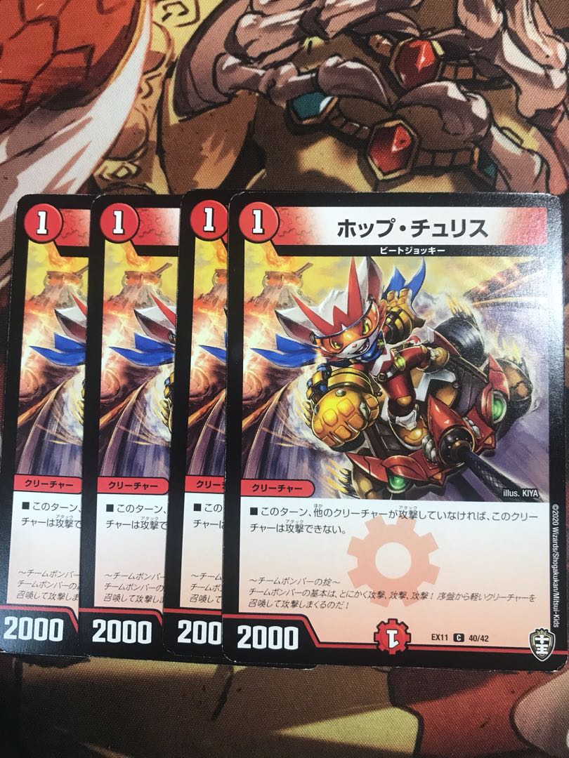 Hop Chu Squirrel C 40/42