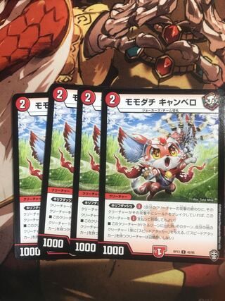 Momodachi Cambero U 42/95