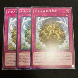 Naturia Sacred Tree Normal 3 sheets Special Price