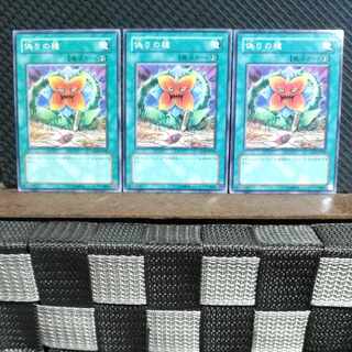 Popotan] Yu-Gi-Oh! #1924 Seed of Deception 3 Normal