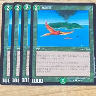 Birds of Paradise R 29/75