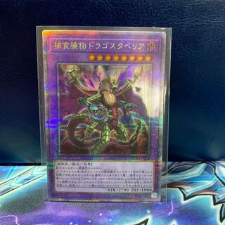 Yu-Gi-Oh Predaplant Dragostapelia 25th Secret Rare 1 copy