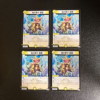 DM Earth Learning Solitary Legs Common, set of 4, 4