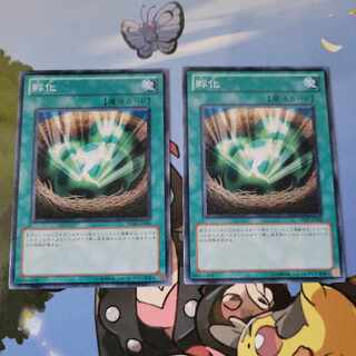 孵化2枚セット　TP20ノーマル