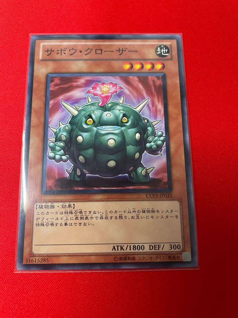 Cactus Bouncer Normal JP035