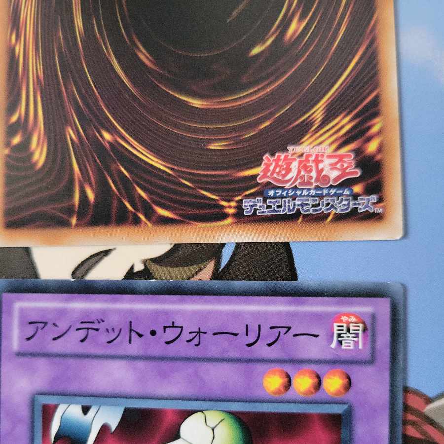 Zombie Warrior 2 piece set TP16 Normal