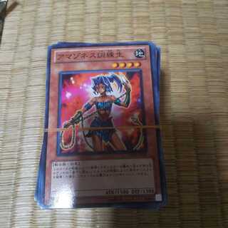 大人の大人買いアマゾネスの訓練生150枚