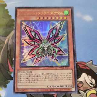 Queen Bata Fly Danaus Ultra Rare