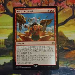 Kari Zev's Expertise