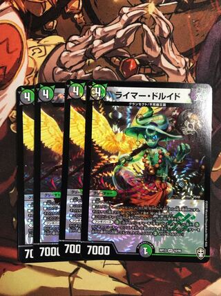 Reimer Druid VR 10/95