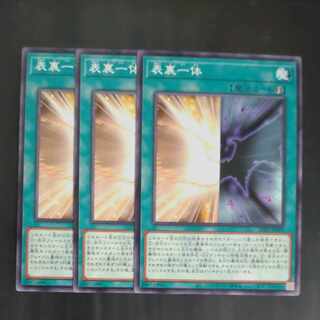 Front and back side Normal JP005✕3 [Mokurindo].