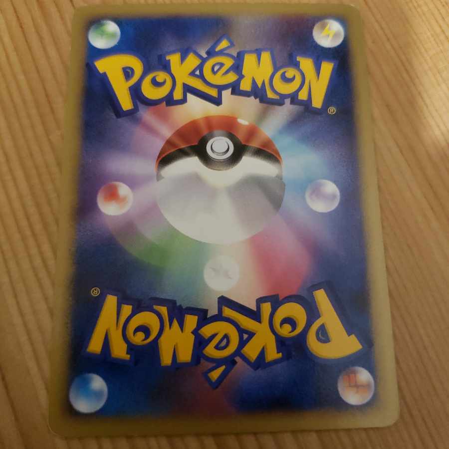 Ponyta 2008 Keto kyoto kosokuido, Atsuko Nishida