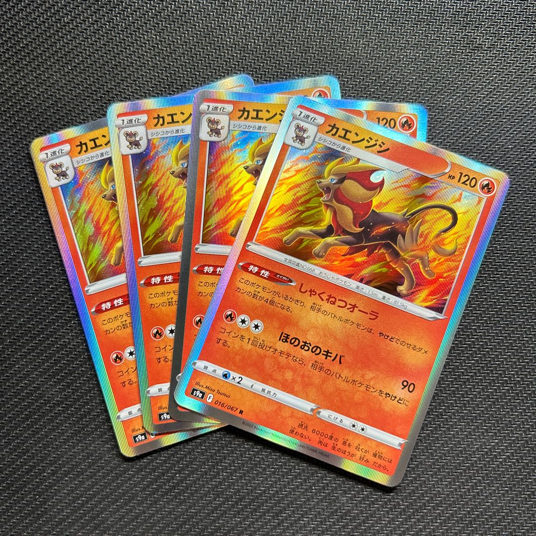 カエンジシ R 016/067