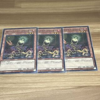 ローンファイア・ブロッサム スーパーレア JP002