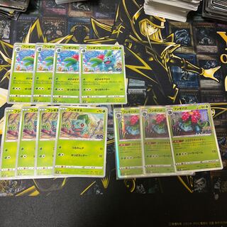 フシギダネ C 001/071