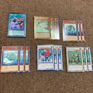 魔獣の懐柔+森の聖獣+獣シンクロ+モモンガ