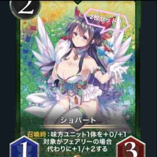 ショパート 2枚セット スピなし