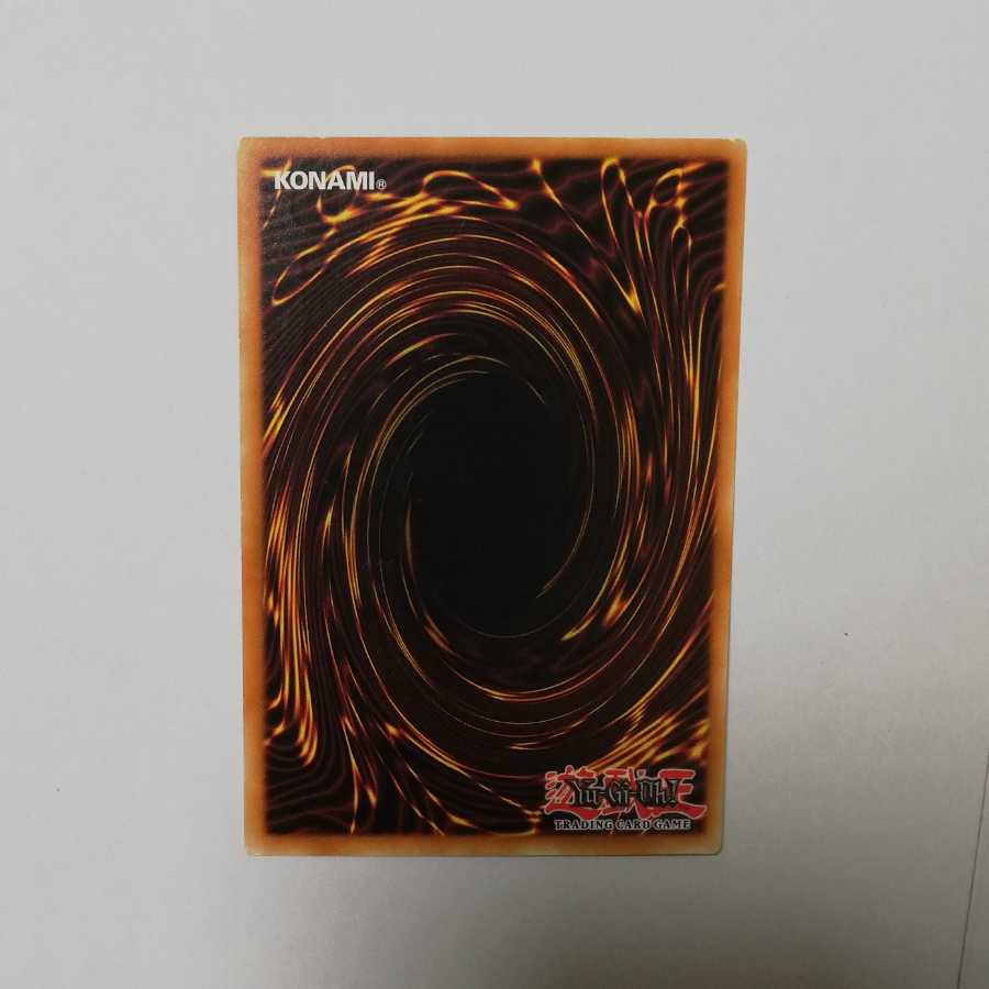 英語版サイバーツインドラゴン　レリーフ　