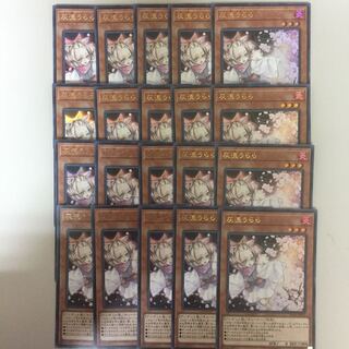 灰流うらら ウルトラ 20枚