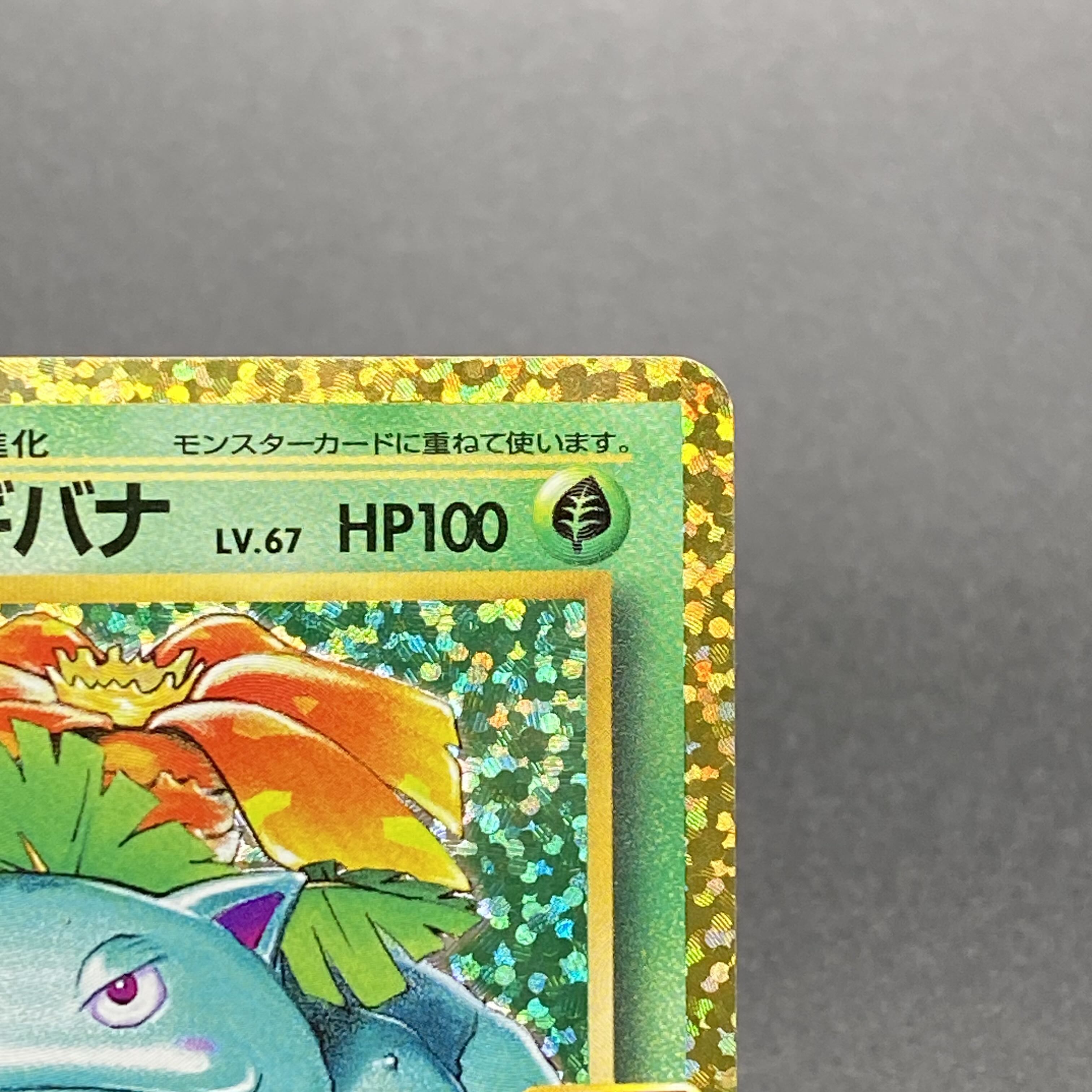 Venusaur 25thPROMO 002/025