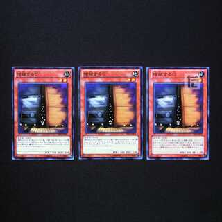 Maxx "C" normal, set of 3/managed by MY0946