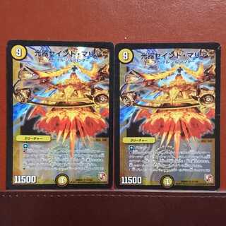 セット割引 光器セイント・マリア