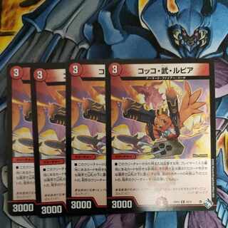 Cocco Bu Lupia R 19/74