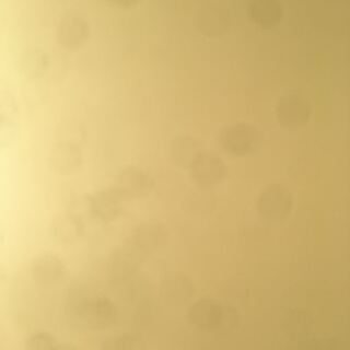 リーピヨ様専門