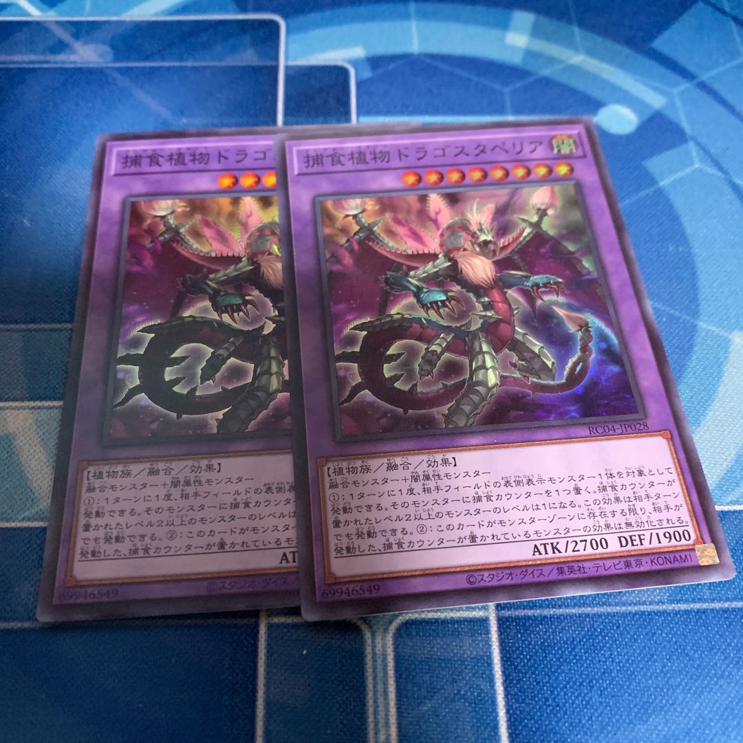 捕食植物ドラゴスタペリア スーパーレア JP028