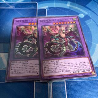 捕食植物ドラゴスタペリア スーパーレア JP028