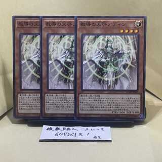 教導の天啓アディン ノーマル JP007