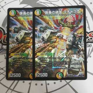 族長の魂友 ワチャゴナ