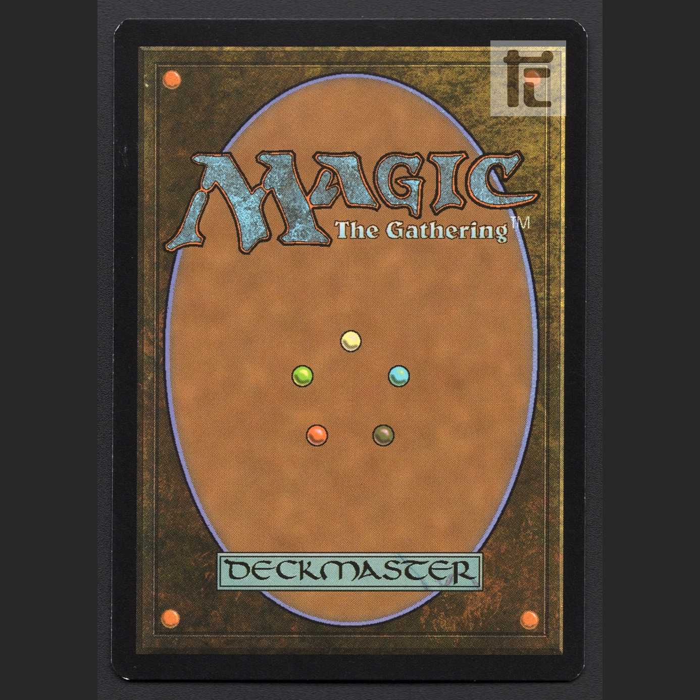 [ZEN]Misty Rainforest/Misty Rainforest [EXE] Japanese/Control:MM0462