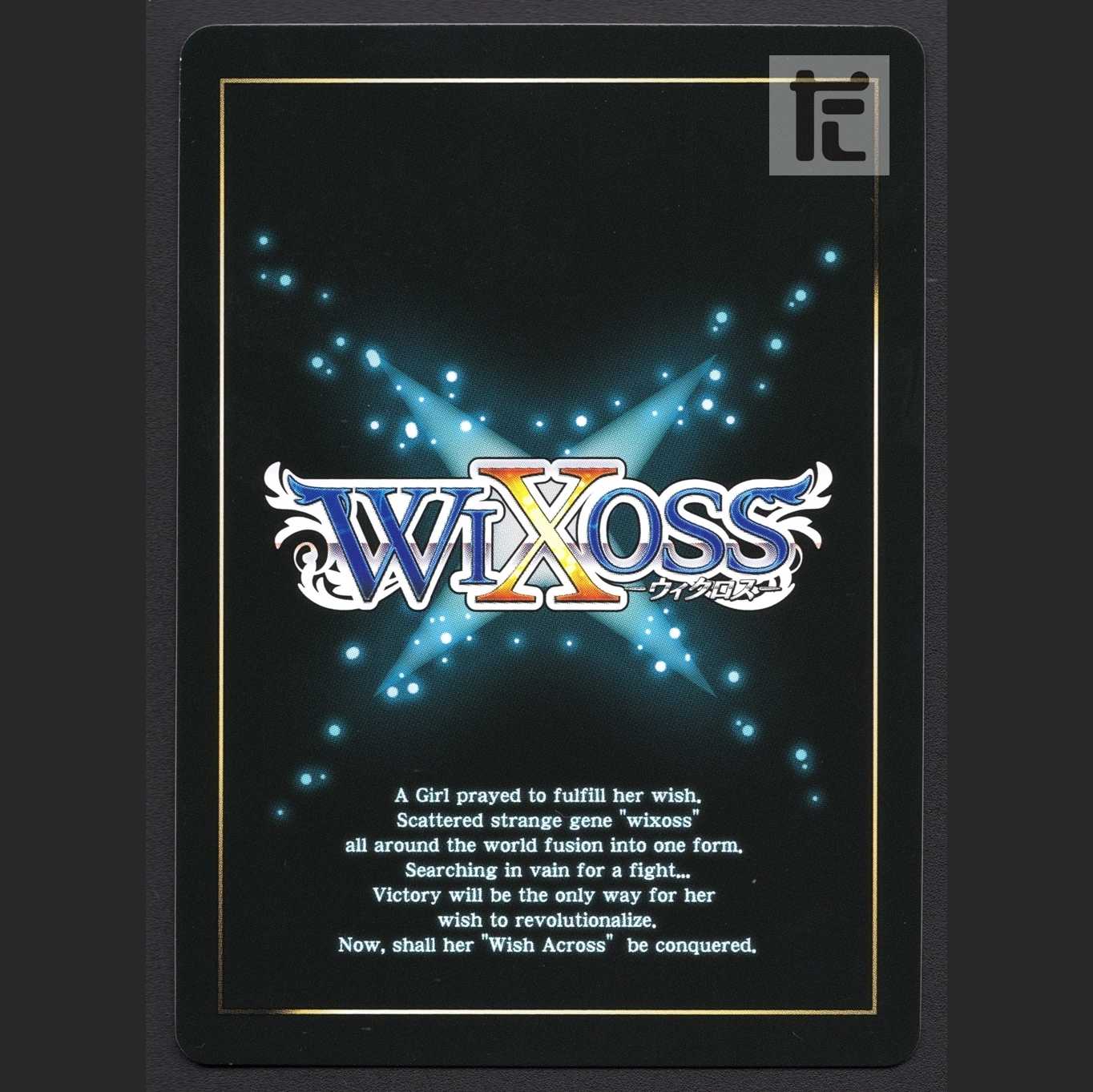 Princess Rahara Zr [near] SECRET/Managed by MS0449W